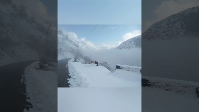 Инструмент для гармонизации отношений С.И.Лосева ВЫВОРОТКА. Помогает даже в самых тяжёлых случаях!