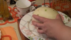 Дыня Долматинец  Обзор сорта