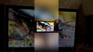 Как скачать игру на комп если нет инета на нём