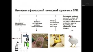 ГАЛЬЦОВА М. С. Профилактика бактериальных инфекций в птицеводстве в условиях...