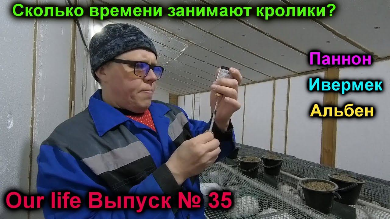 Сколько временина кроликов?Пропойка паннона.Ивермек для кроликов.Альбент для крольчат.Ourlife Вып 35
