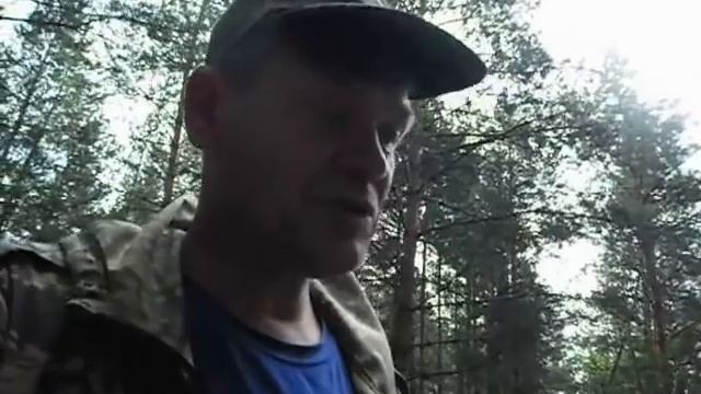 Рыжик июньский Саратовский смотреть онлайн