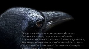 ЭДГАР АЛЛАН ПО "ВОРОН"