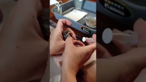 Кормим Чижика