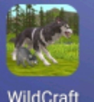 играем в волд крафт