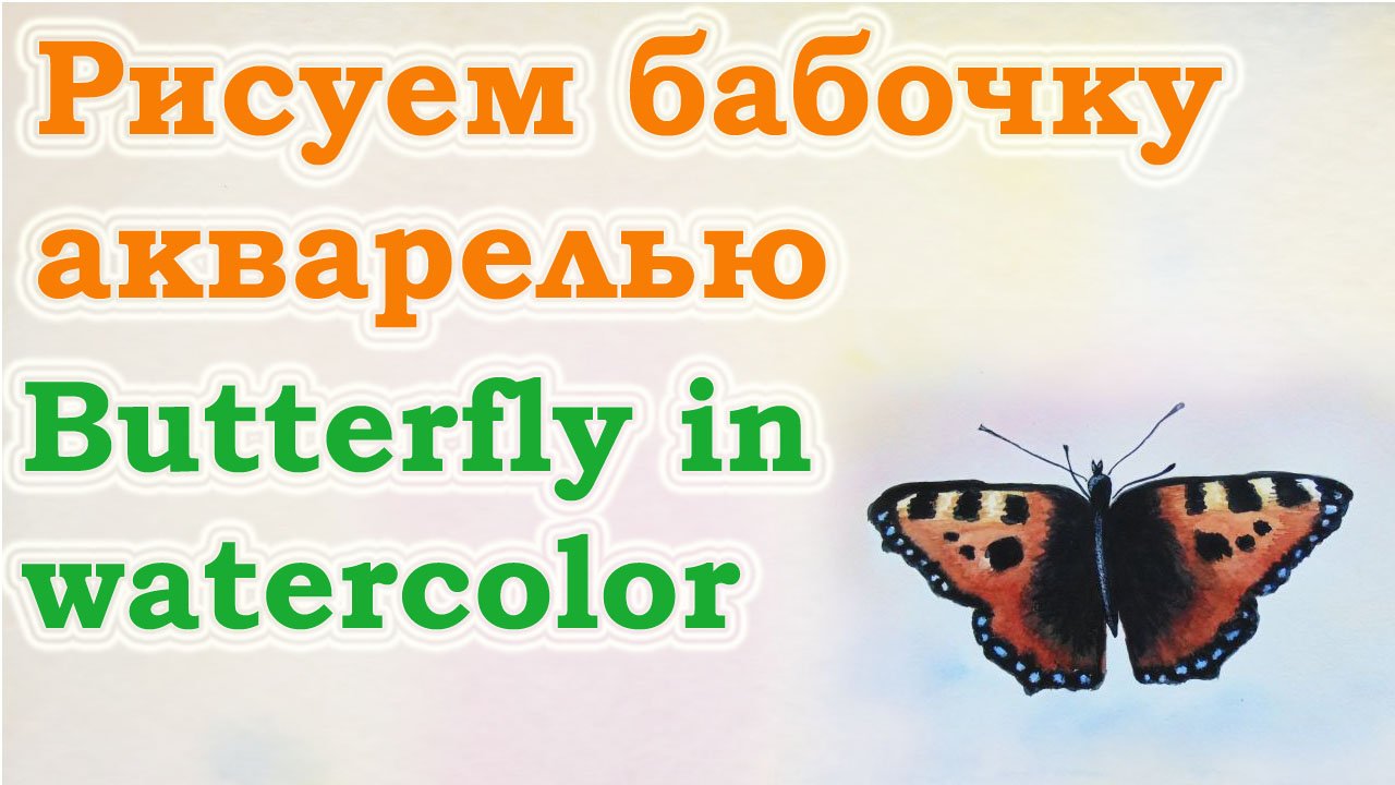 Как нарисовать бабочку акварелью. Урок рисования акварелью для начинающих. Для детей. Мастер-класс.
