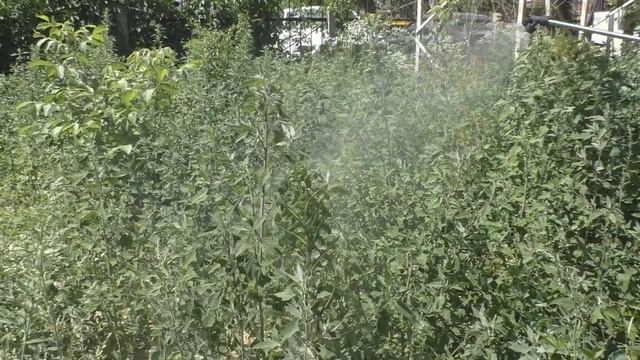 Подробней некуда! Обзор аккумуляторного опрыскивателя Sturm GS8216BM / Какой опрыскиватель выбрат смотреть онлайн