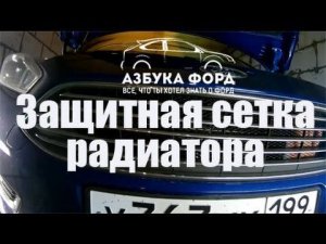 Защитная сетка радиатора Форд Фокус 3 рестайлинг