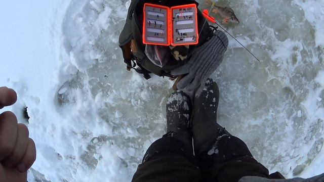 ОКУНЬ спрятался в КОРЯГАХ/Рука не ДРОГНУЛА МУРАВЕЙ не ПРЕДАЛ смотреть онлайн