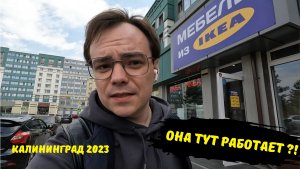 Последний день в Калининграде / ИКЕЯ снова открылась? / шли до самолета пешком / уезжаем в Москву