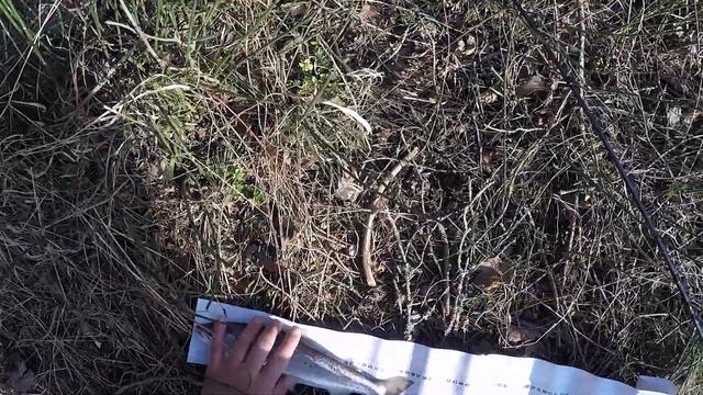 Makšķerē ar Olti 2020 #1 Pavasara spiningošana / RUS Subs смотреть онлайн