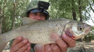 РЖАЧЬ НА РЫБАЛКЕ! Алкаш рассказал УБОЙНУЮ ЛЕГЕНДУ и все В ШОКЕ!