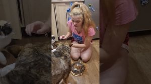 Можно ли собаки есть просроченный корм. Лайфхак проверки для животных от отравления и поноса