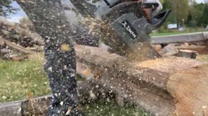 Бензопила ZimAni (ЗимАни) 450 в работе. Лучшая бензопила для дома и дачи.