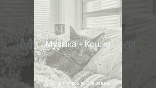 Впечатление (Спящие кошки) смотреть онлайн