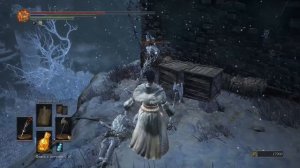 ПОСЕЛЕНИЕ ВОРОНОВ Dark Souls 3: Ashes of Ariandel Прохождение #3
