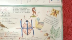 Проект для 1 класса Живая азбука