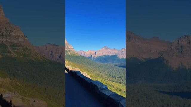 #cartoon смотреть онлайн