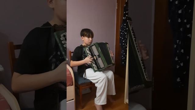 полька, деревенское гулянье на баяне