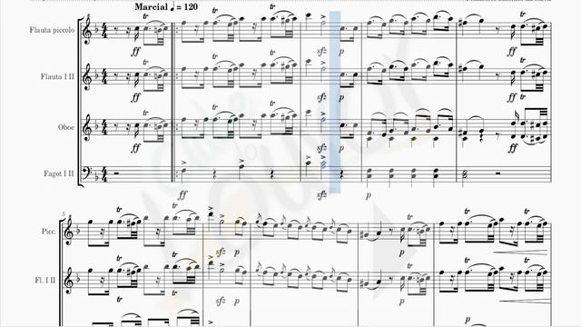 HINO NACIONAL BRASILEIRO - FLAUTA E OBOE смотреть онлайн