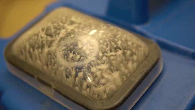 Сколько грязи в чистом ковре? | Химчистка ковра СПб смотреть онлайн