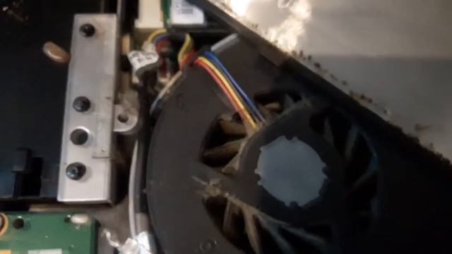 В ноутбуках живут тараканы!? Будь осторожен! Samsung Asus Lenovo Dell