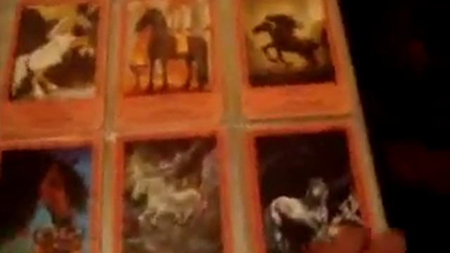 My Bella Sara Cards!All 365 of them! смотреть онлайн