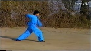 Ляонинский танлан цюань или "Кулак богомола" / Тanglang Boxing from Liaoning