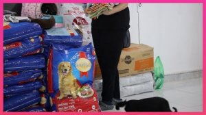 Animals Asia supports cat & dog shelter impacted by recent devastating floods in central Vietnam