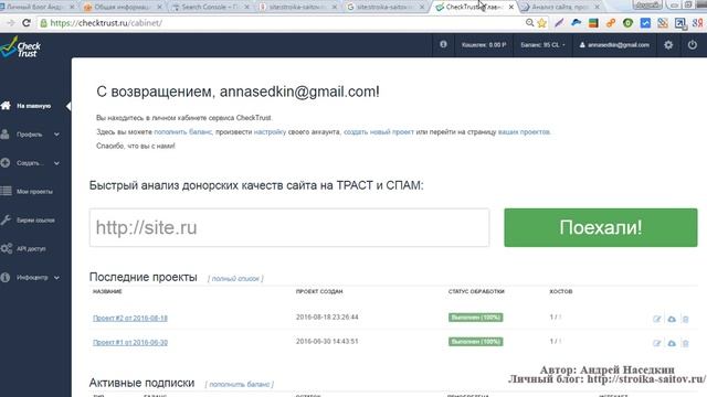 Как узнать сколько страниц на сайте смотреть онлайн