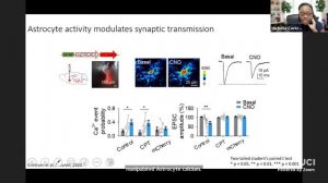 #BiNSeminarSeries: Investigating the Stars of the Brain by Michelle Corkrum, MD PhD