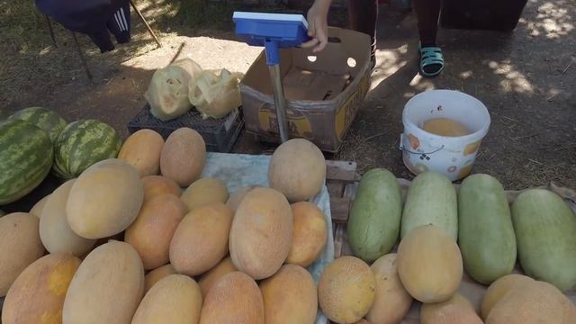 Едем на море/Кирилловка цены август 2020/ смотреть онлайн