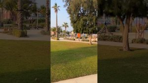 Пляж Ля-Мер в Дубае (La Mer Beach 3 марта 2023)