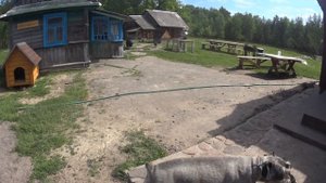 ✅ Пролетело время на ЧЕРНИЧНОМ ХУТОРЕ. Это было здорово 🙌.