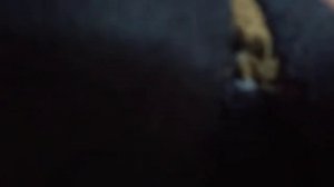 KX драйвер для CREATIVE SB LIVE 5.1 под виндовс   10, 8, 8.1, 7,   и Win xp ( фронт + тыл )