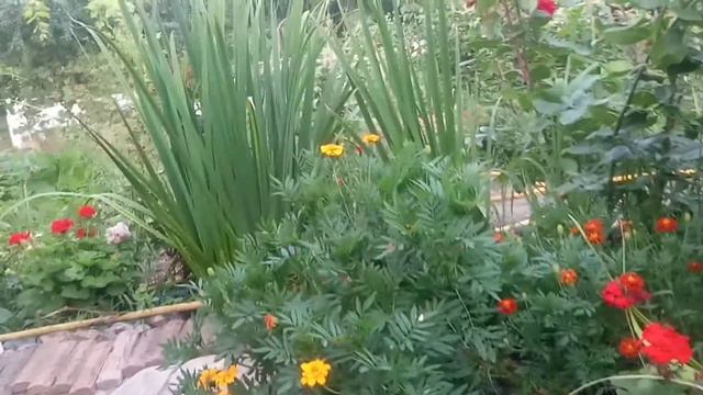 Любимая зона отдыха.Где очень хорошо думать и наблюдать . смотреть онлайн