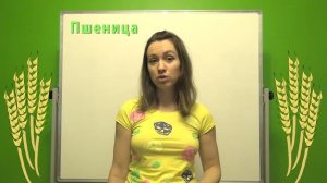 Озимые культуры в России — что такое озимые зерновые, посевная площадь озимых