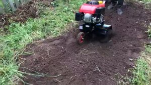 Культиватор "Земляк" Красная Звезда 3g1200 на грядке в работе.