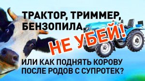 СУПРОТЕК в минитрактор, триммер, бензопилу и корову) Сохрани дачную технику и животное!