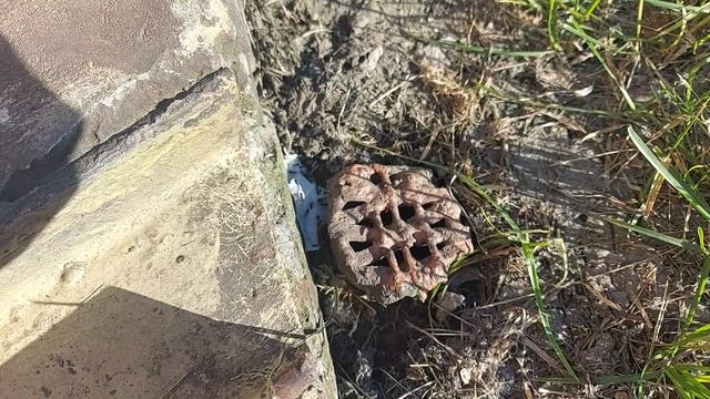 Борная кислота против муравьев. смотреть онлайн