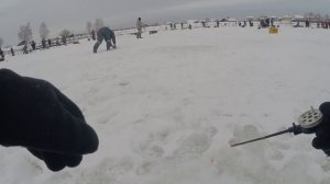 Триал Русская рыбалка, ловля ФОРЕЛИ со льда! Платные пруды подмосковья! Рыбалка зимой на платнике!