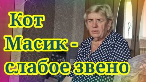 Кот Масик- слабое звено. Обзор Saveliy Ad