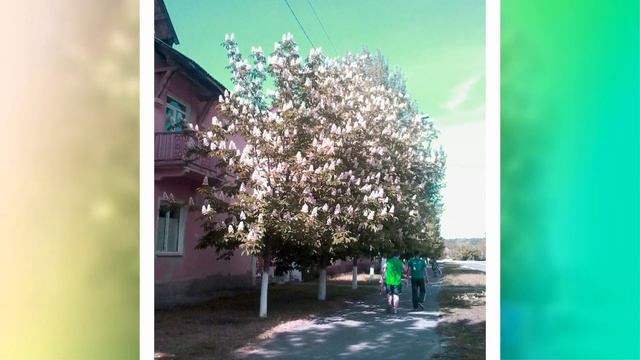 Наш любимый город Счастье смотреть онлайн