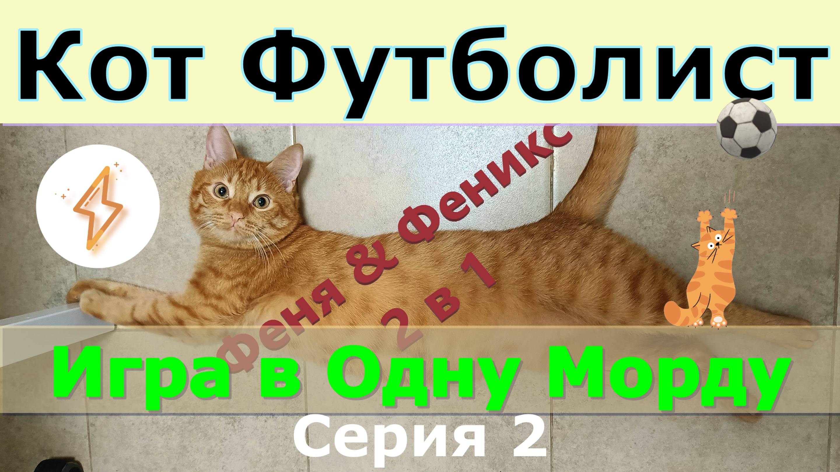 Кот Футболист. Игра в Одну Морду. Серия 2. Кот Феня, он же Феникс