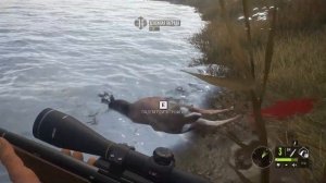 theHunter Call of the Wild ✅ DLC ✅ ТОП - 5 ДЛС ?️