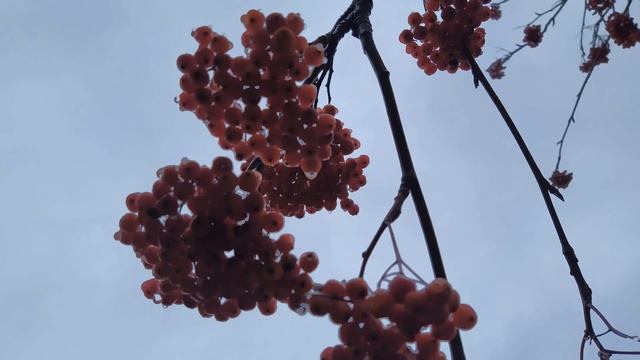 НИКОЛИН ДЕНЬ 19 ДЕКАБРЯ. Кто Николая любит, кто Николаю служит,тому СВЯТОЙ во всякий час помогает смотреть онлайн