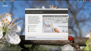 Пару слов о Matuntu linux