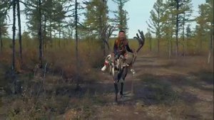 Таежная песня