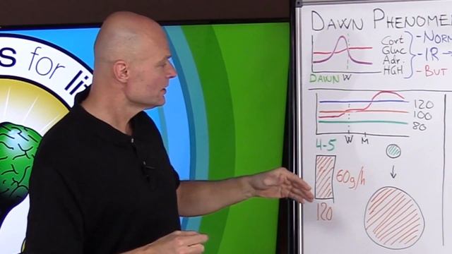Dawn Phenomenon: High Fasting Blood Sugar Levels On Keto & IF смотреть онлайн