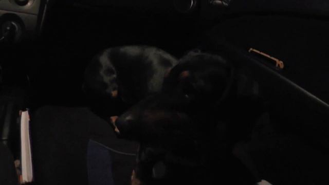 Дорога. Горный Алтай. смотреть онлайн